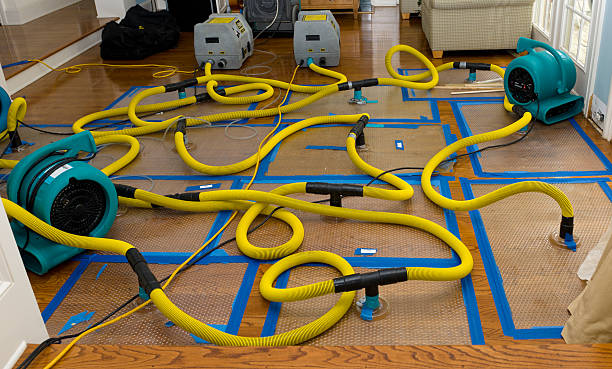 Professional Flood Damage Restoration technician working in Imperial, CA